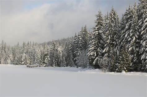 Trillium Lake Oregon Frozen - Free photo on Pixabay - Pixabay