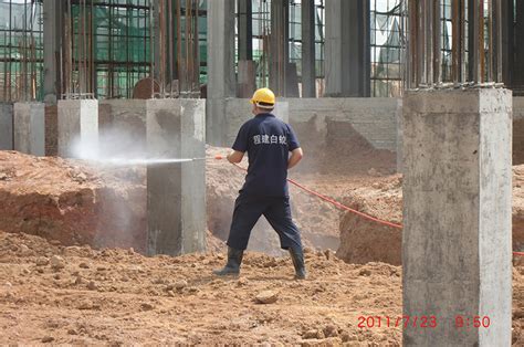 深圳白蚁防治工程 深圳市白蚁防治中心、杀虫、消杀、消毒公司【官网】