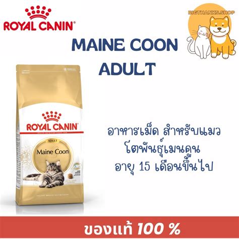 Royal Canin Adult Maine Coon Kg Exp