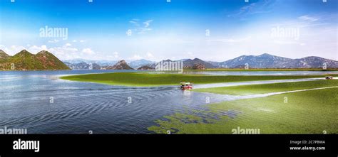 Vista impresionante del lago Skadar rodeado de verdes picos de montaña