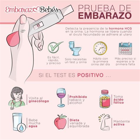 Prueba De Embarazo Positiva O Negativa Test De Embarazo Positivo