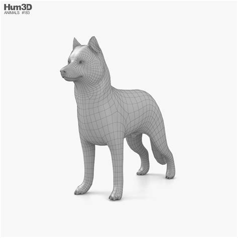 Siberian Husky Low Poly Rigged 3d Modell Tiere On Hum3d