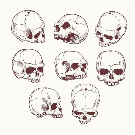 Premium Vector Art Illustration Skulls Hand Drawn Vector