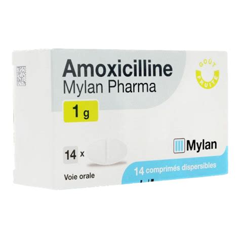 AMOXICILLINE MYLAN 1 g comprimés dispersibles B 14