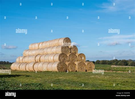 Large Round Bales Hi Res Stock Photography And Images Alamy