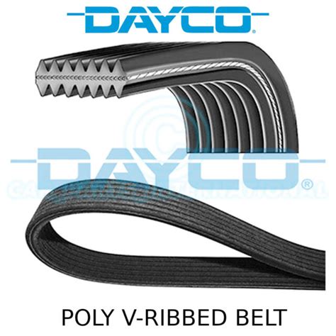 Dayco Poly V Belt Auxiliary Fan Drive Multi Ribbed Belt Ribs