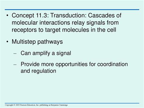 Chapter 11 Cell Communication Ppt Download