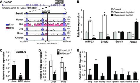 Regulation Of Mir Is Inversely Correlated With Cellular Cholesterol