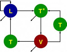 Schematic Representation Of The Stochastic Infection Model Whose