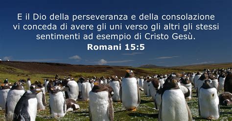 Romani Versetto Della Bibbia Dailyverses Net