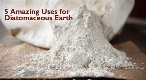 5 Amazing Ways Diatomaceous Earth Can Help Your Dog Dogs Naturally