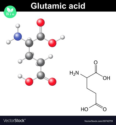 Glutamate Structure