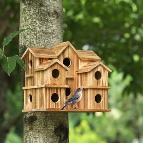 Amazon Bird Houses For Outside 10 Hole Bird House Room For 10 Bird