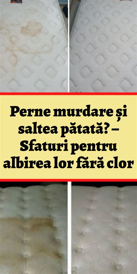 Perne Murdare I Saltea P Tat Sfaturi Pentru Albirea Lor F R Clor