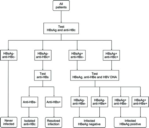 Algorithm For Hepatitis B Serology Testing Anti Hbc Antibody To