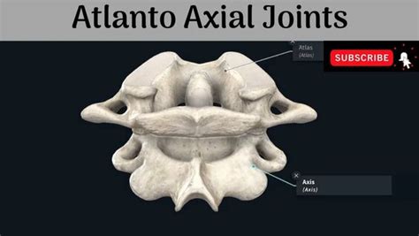 Atlanto - Axial Joints | Median & Lateral Joints | Articular surfaces ...