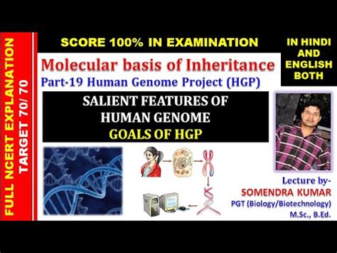 Molecular Basis Of Inheritance Part 19 Salient Features Of Human