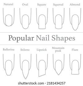 Set Illustrations Popular Nail Shapes Stock Vector (Royalty Free ...