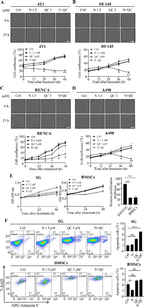 Synergistic Effect Of Niclosamide N And Quinacrine Qc Combination