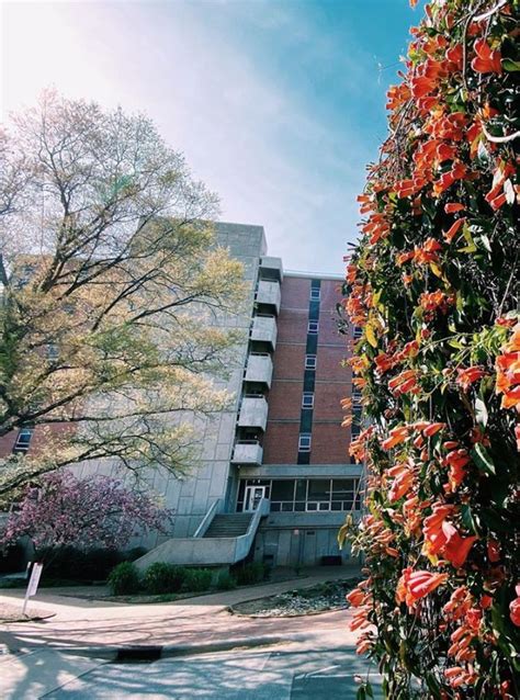 NC State Dorms | Nc state university, Nc state, Nc state dorm