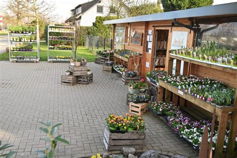 Frühlingsblumen im Hofladen Schlueters Hofverkauf