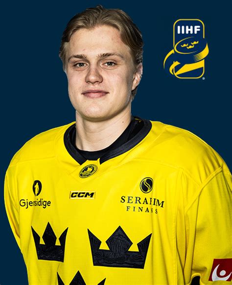 Elias Pettersson Salary Calculator Diane Florida