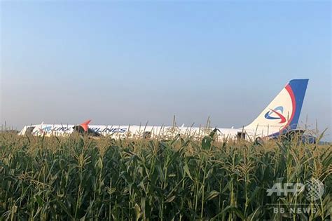 ロシア機がトウモロコシ畑に緊急着陸、カモメの群れと衝突 写真10枚 国際ニュース：afpbb News