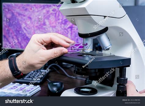 13,410 Pathology microscope Stock Photos, Images & Photography ...