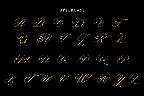 Rastering | Elegant Calligraphy Font - Design Cuts