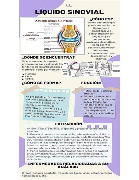 El líquido sinovial | fraii | uDocz