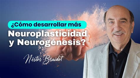 C Mo Desarrollar Neuroplasticidad Y Neurog Nesis N Stor Braidot