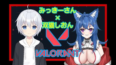 【valorant 】みっきーさんとコラボ アンレorスイフト 参加型💜【vtuber 双猫しおん 】＊概要欄必読！！ Youtube