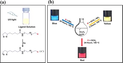 Schematic Preparation Of Fluorescent Auncs A Step 1 Ligand Download Scientific Diagram