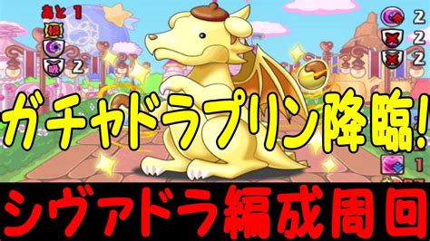 【ガチャドラプリン降臨】シヴァドラループで周回！！【パズドラ】【サンリオキャラクターズ】 Youtube