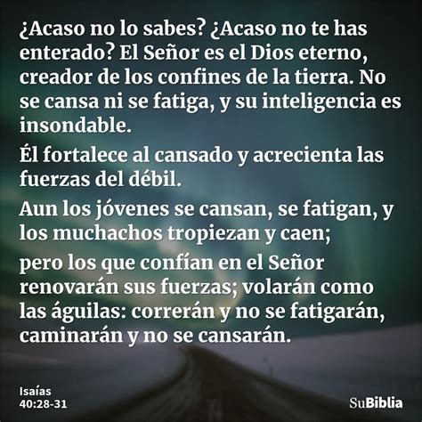 Isaías 40 28 31 Su Biblia