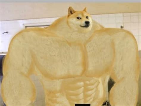 Swole Doge | Know Your Meme