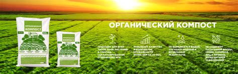 BSF EcoFeed - Продукция из личинок черной львинки