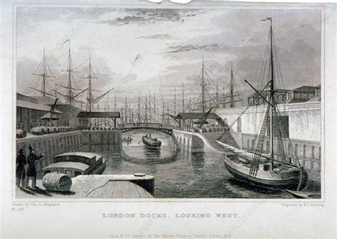 View Of London Docks Looking West Wapping 1831 Stock Image C042