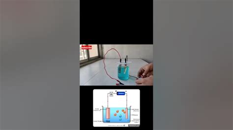 Electrolysis Of Copper Sulphate 8th Grade Chemical Effects Of Electric Current By Amit Sir