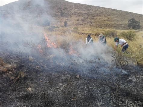 Radio Universidad Incendio Forestal Arrasa Hect Reas De Pastos