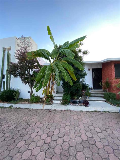 Venta Casa En Villas De Irapuato Irapuato Guanajuato Icasas Mx