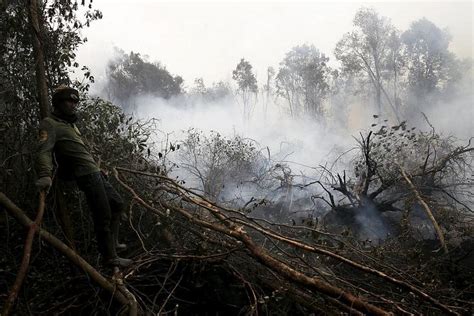 Indonesia Has Accepted Singapore S Offer To Help Fight Forest Fires In Sumatra The Straits Times