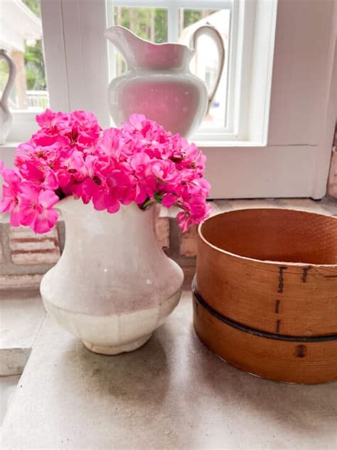 Best Tips To Keep Geraniums Blooming Spring To Fall