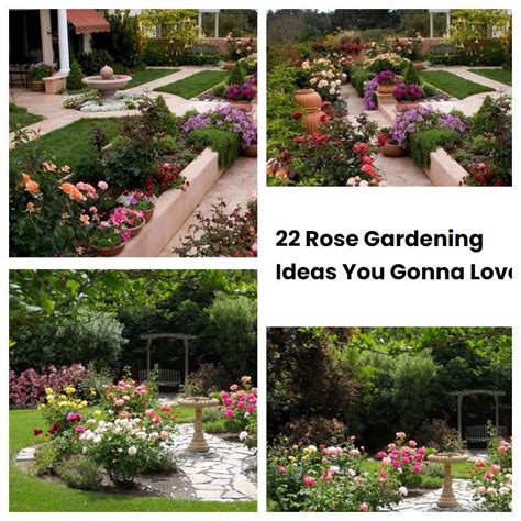 Rose Gardening Ideas You Gonna Love Sharonsable