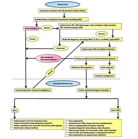 Irritable Bowel Syndrome Management How Indian Patients Differ