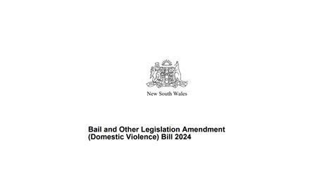 Domestic Violence Bail Amendments A Kneejerk Reaction To A Far Deeper