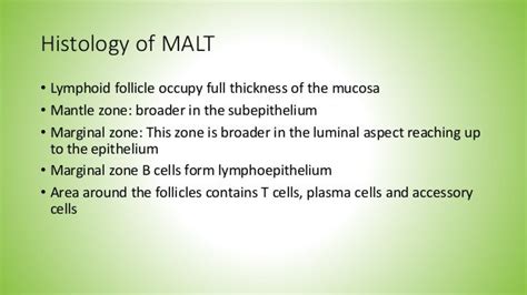 Diagnosis And Treatment Of Gi Malt Lymphoma