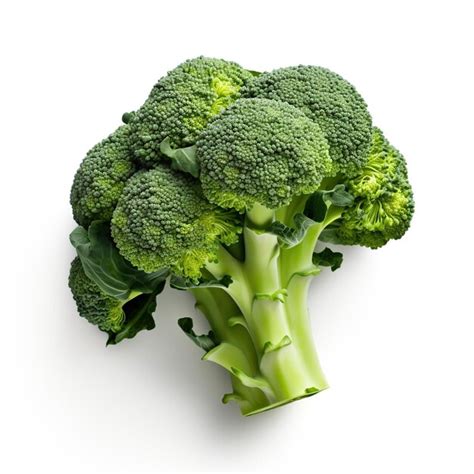 Premium Photo Broccoli On Isolated White Background