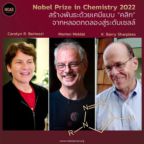 Nobel Prize in Chemistry 2022 - Nanocatalysis and Molecular Simulation ...