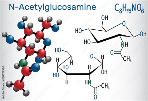 N Acetylglucosamine NAG Molecule Is The Monomeric Unit Of The Chitin